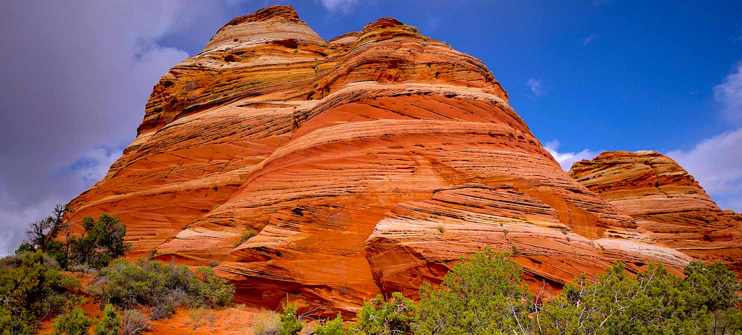 The Tee Pees Guided Tour